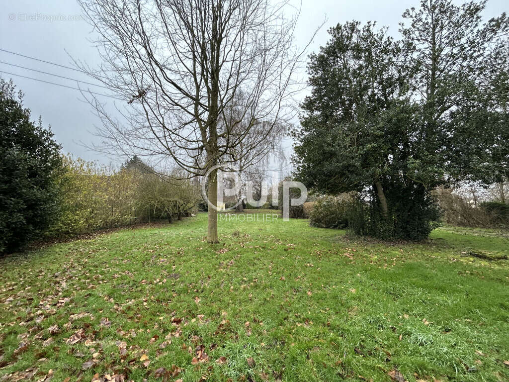 Terrain à AIRE-SUR-LA-LYS