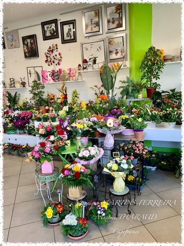 Commerce à MEHUN-SUR-YEVRE