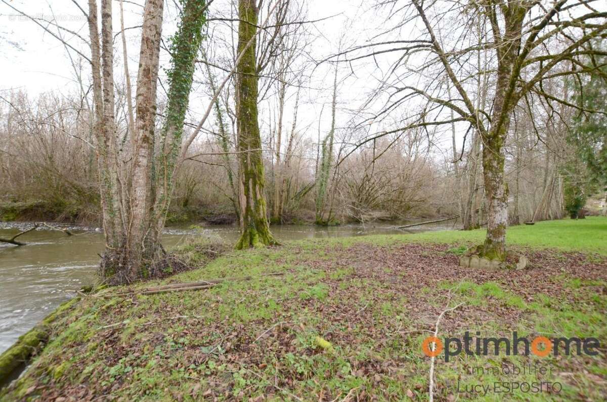 Propriété de 4 chambres au bord de la rivière à vendre - photo 51