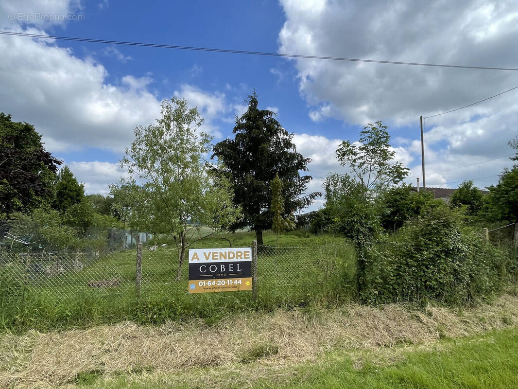 Photo 1 - Terrain à LA FERTE-GAUCHER