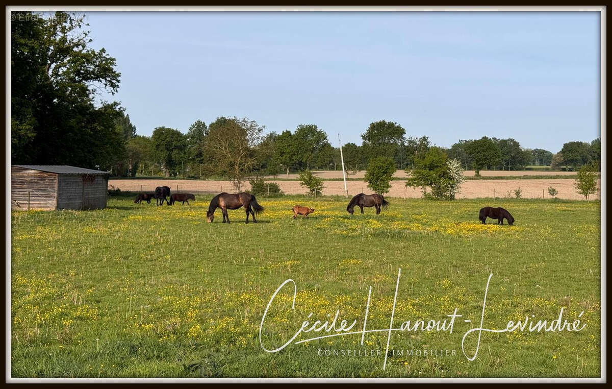 AUCEY LA PLAINE- Proche Mt St Michel-  Ensemble immo Maison: 270 m2 hab. + Dépendances pierre + Terrain 1,7 ha - photo 4