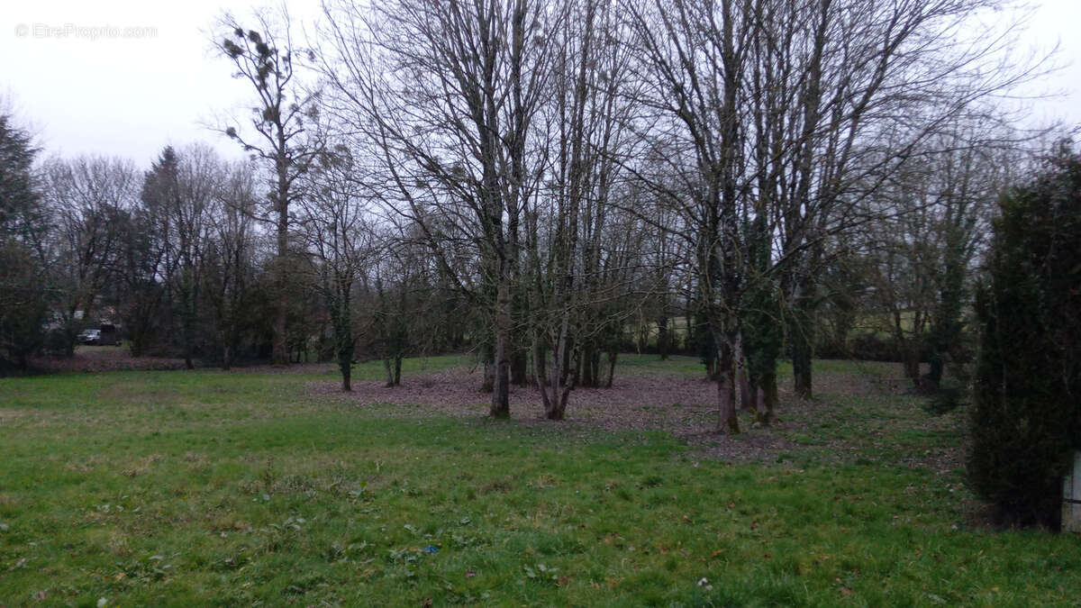 Terrain à MAZIERES-EN-GATINE