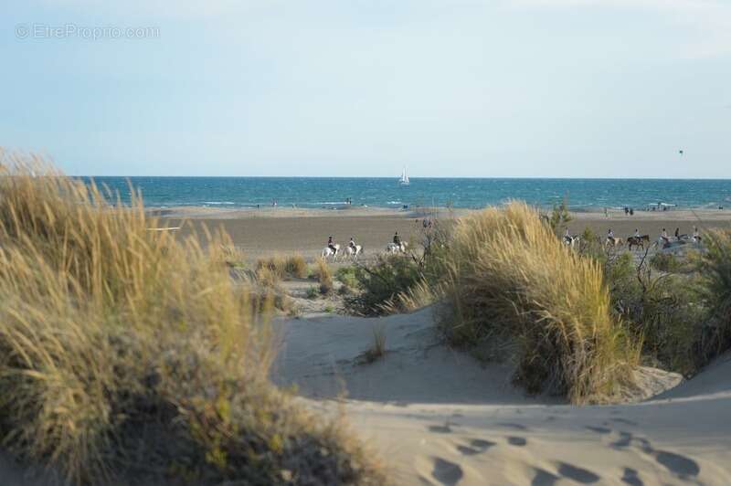 Commerce à LE GRAU-DU-ROI