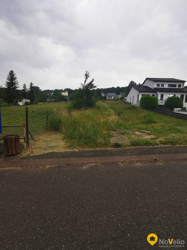 Terrain à SCHOENECK