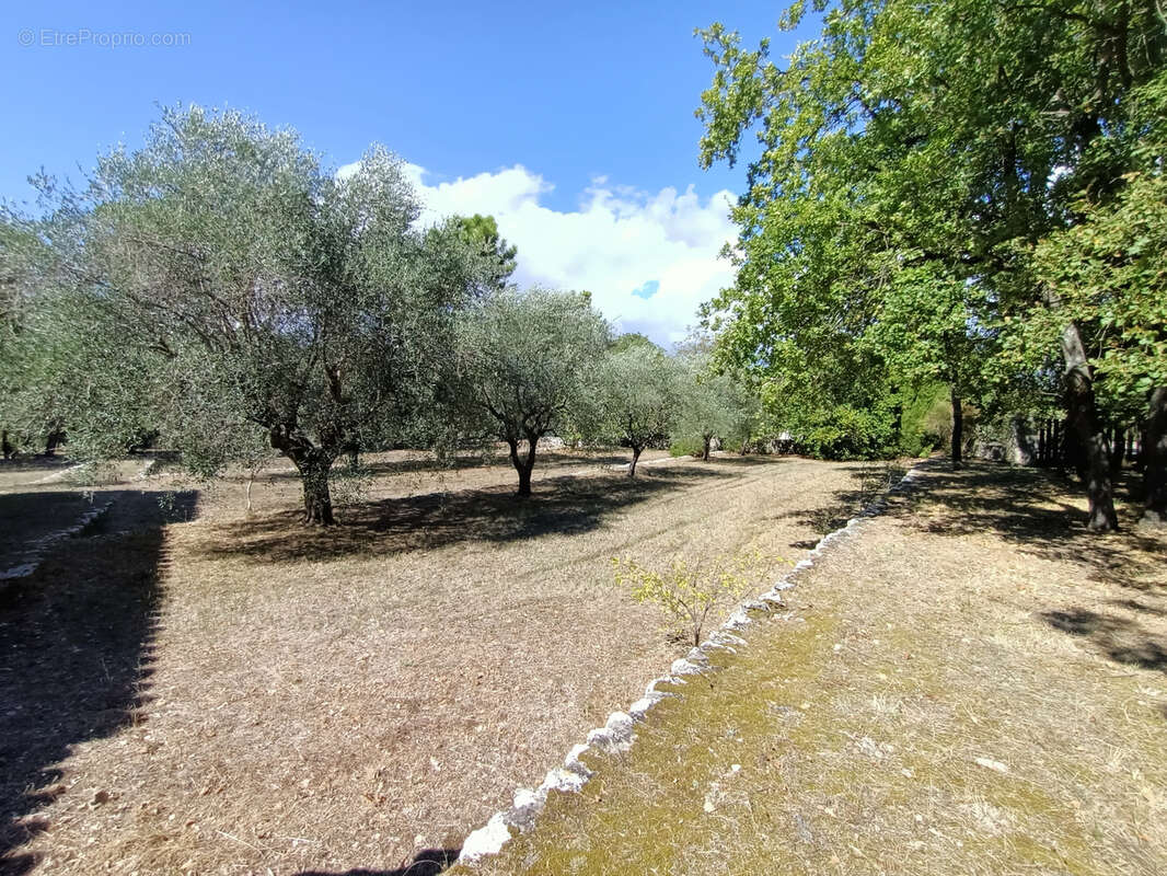 Maison à PEYMEINADE