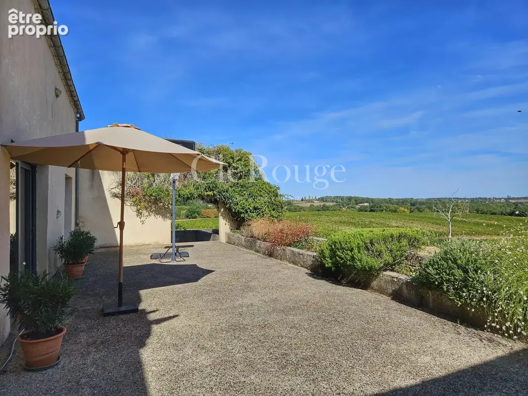 Proche de Pellegrue – Exceptionnel havre de créativité avec gîte et vues panoramiques - photo 33