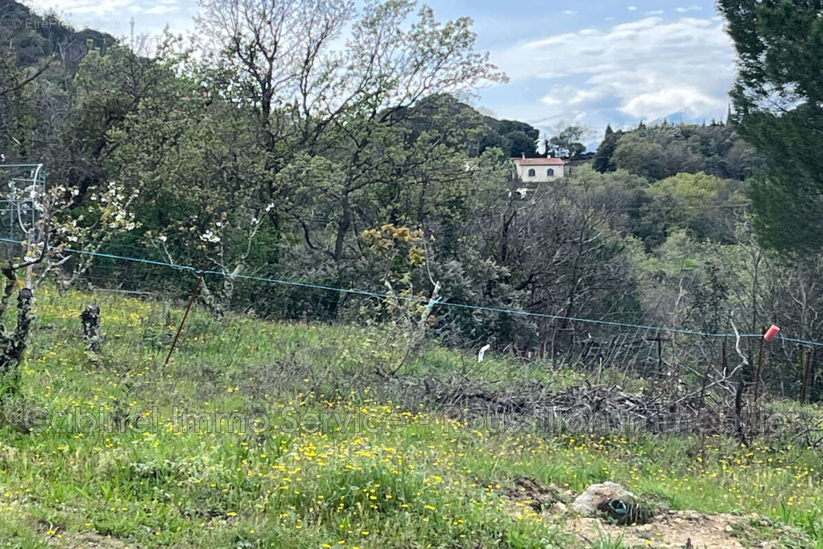 Terrain à CERET