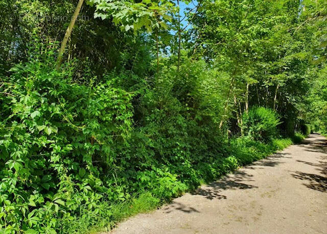 Terrain à FLIXECOURT