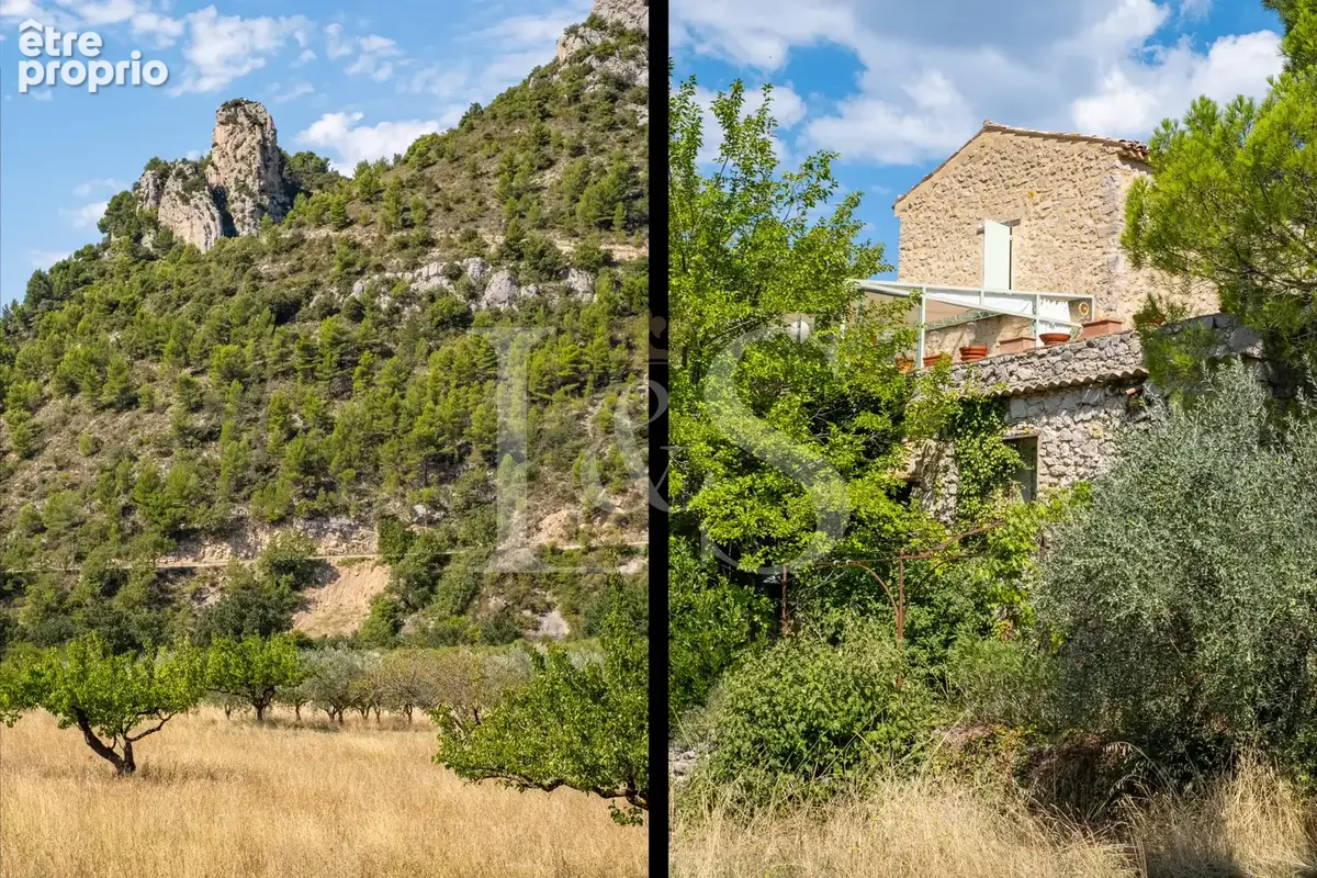Propriété de caractère avec deux mas et vue sur le Mont Ventoux - photo 4
