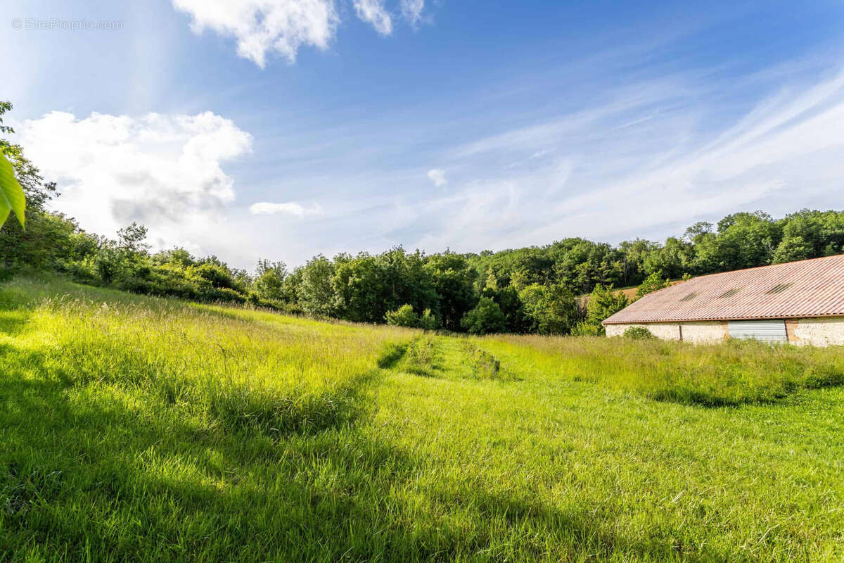 Country property - photo 5