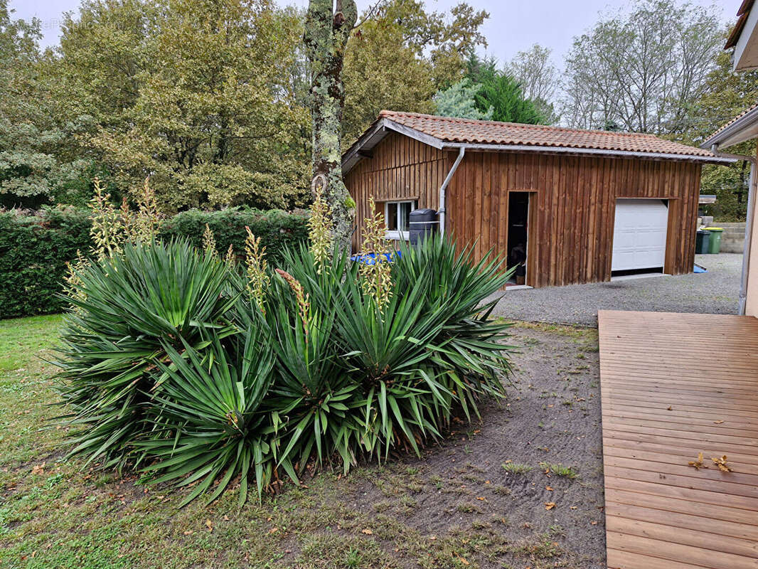 Maison à BELIN-BELIET