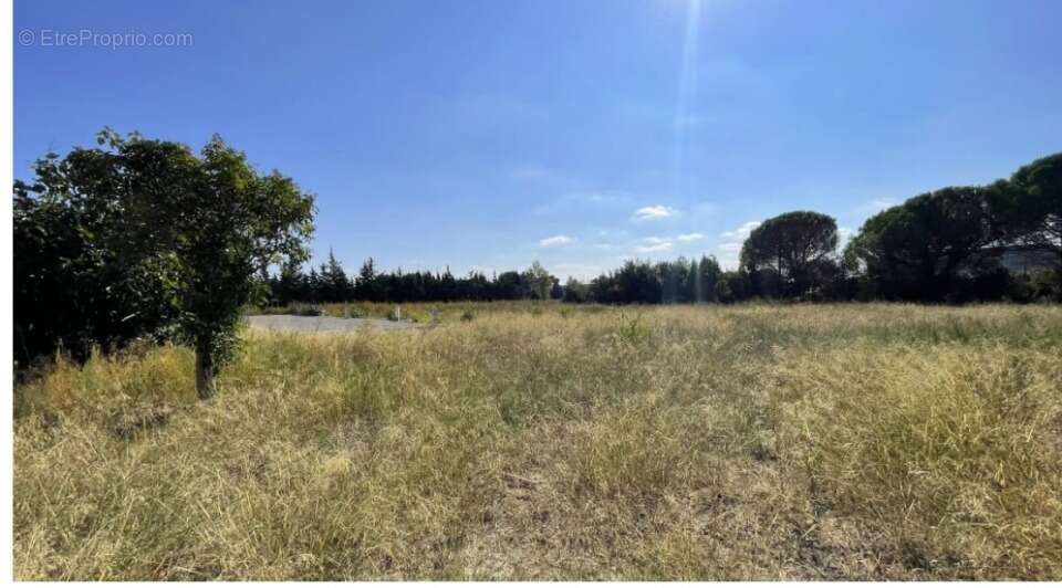 Terrain à LEZIGNAN-CORBIERES