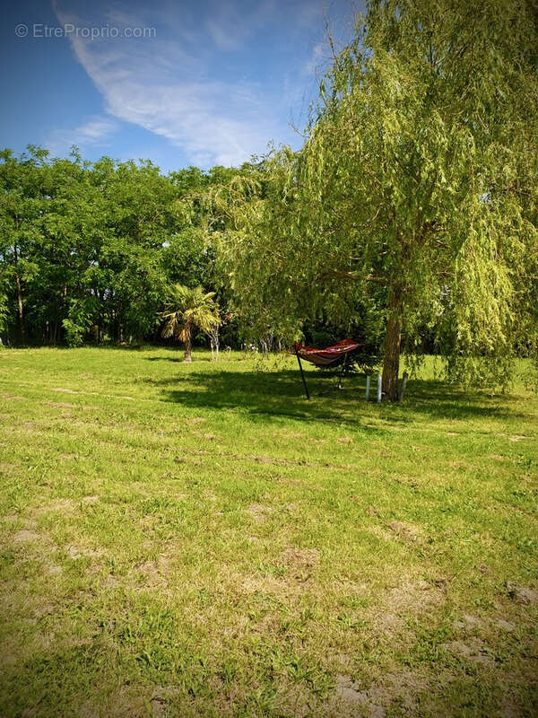 Ensemble immobilier en tuffeau avec dépendances sur un terrain de 3401m2. Idéale projet familiale, gîtes, acti - photo 24