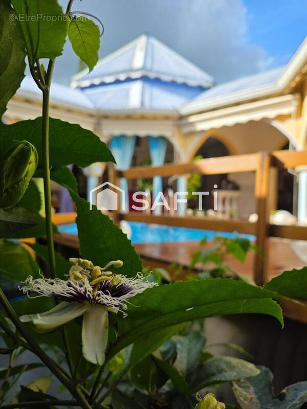 Photo 1 - Maison à SAINTE-ROSE