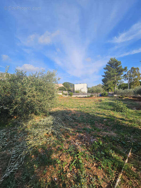 Terrain à LA VALETTE-DU-VAR