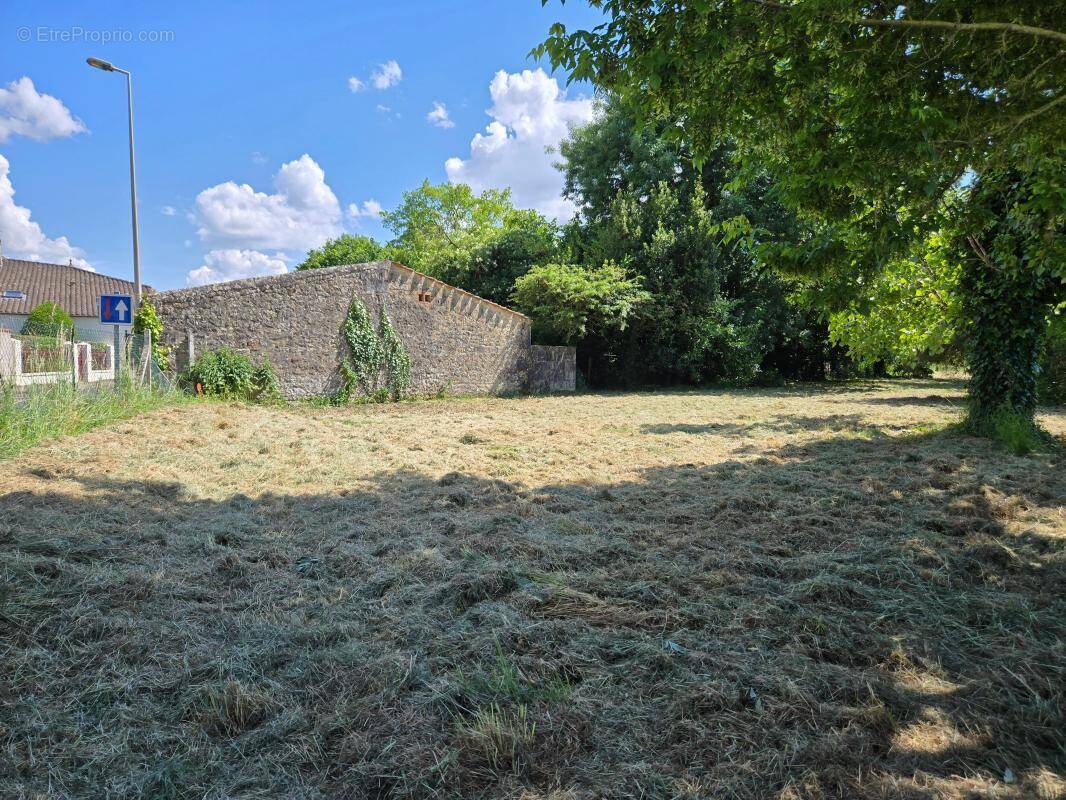 Terrain à ECHILLAIS