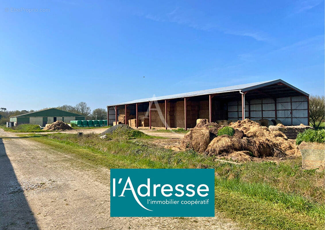 Terrain à SAINT-GERVAIS