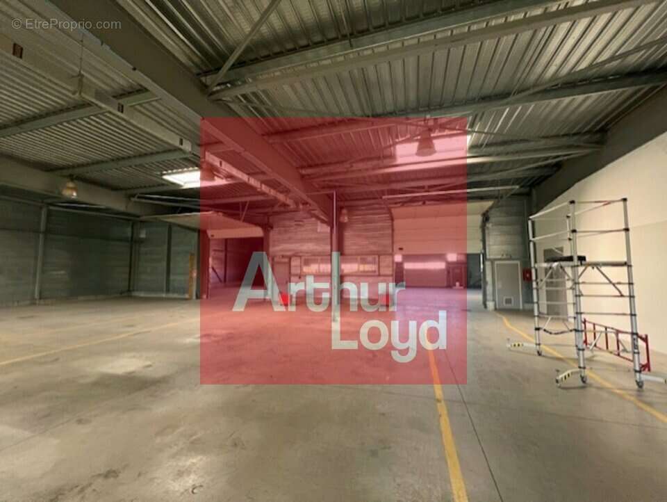 2185 m² à Saint-Etienne-De-Fougeres  - photo 8