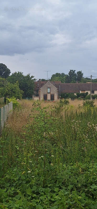 Terrain à VULAINES