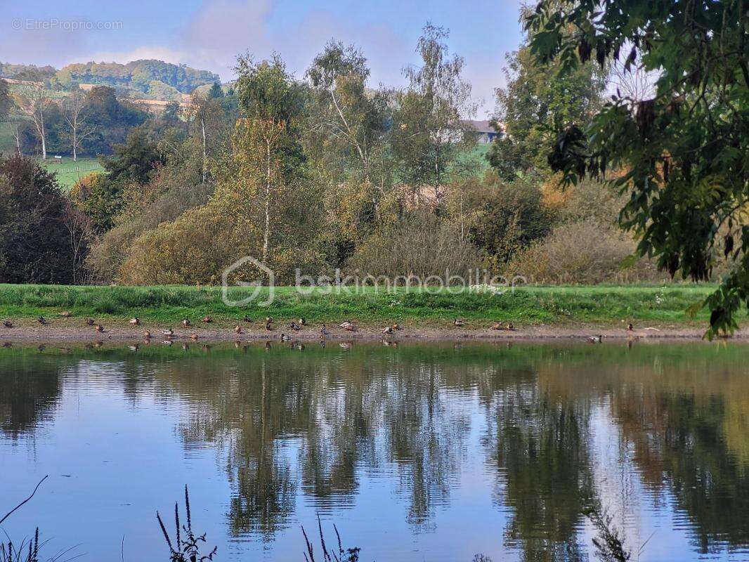 Maison à CHARAVINES