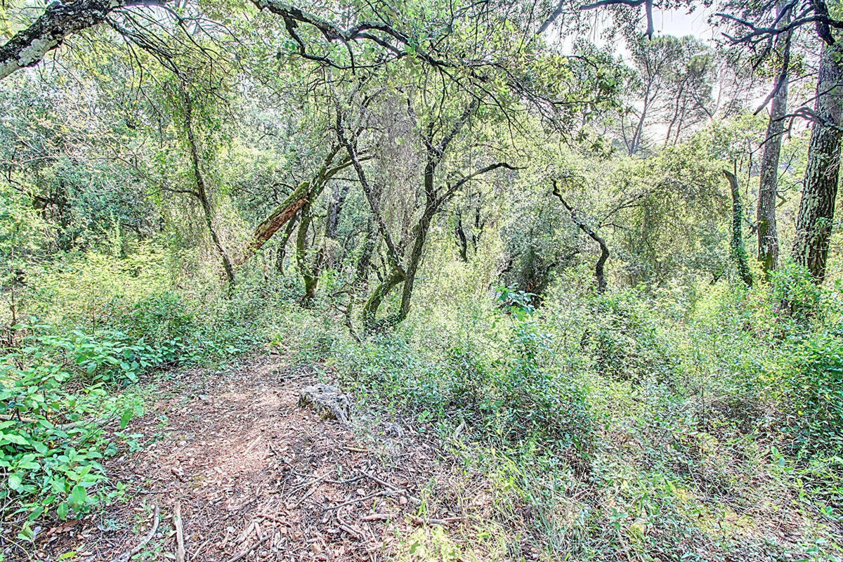 Terrain à LORGUES