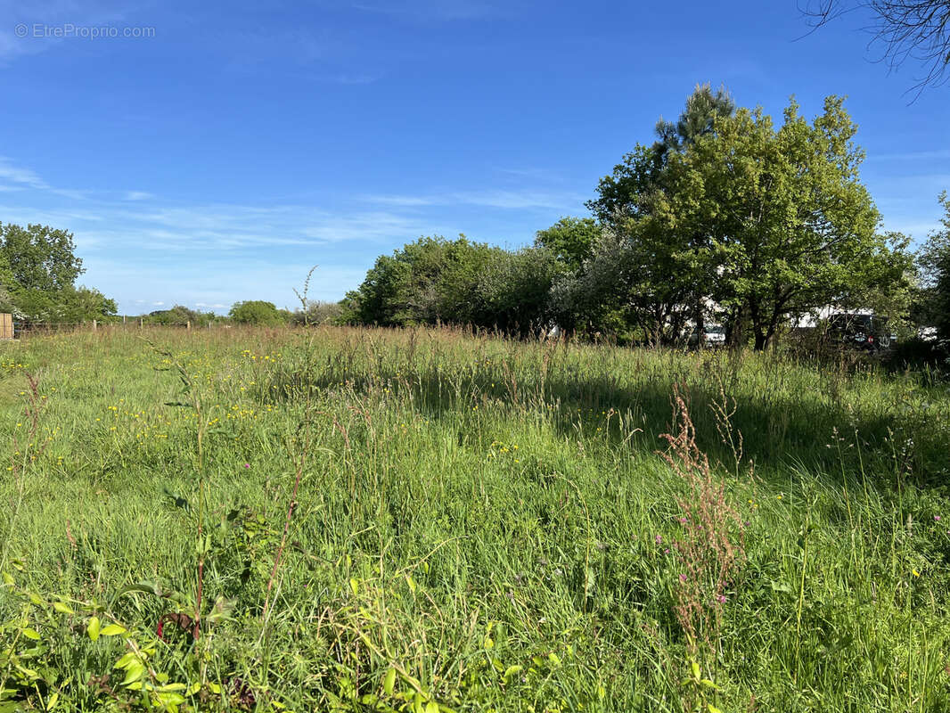 Terrain à LES SABLES-D'OLONNE