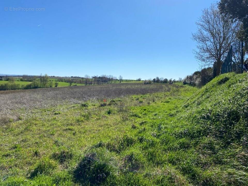 Terrain à SAINT-NAUPHARY