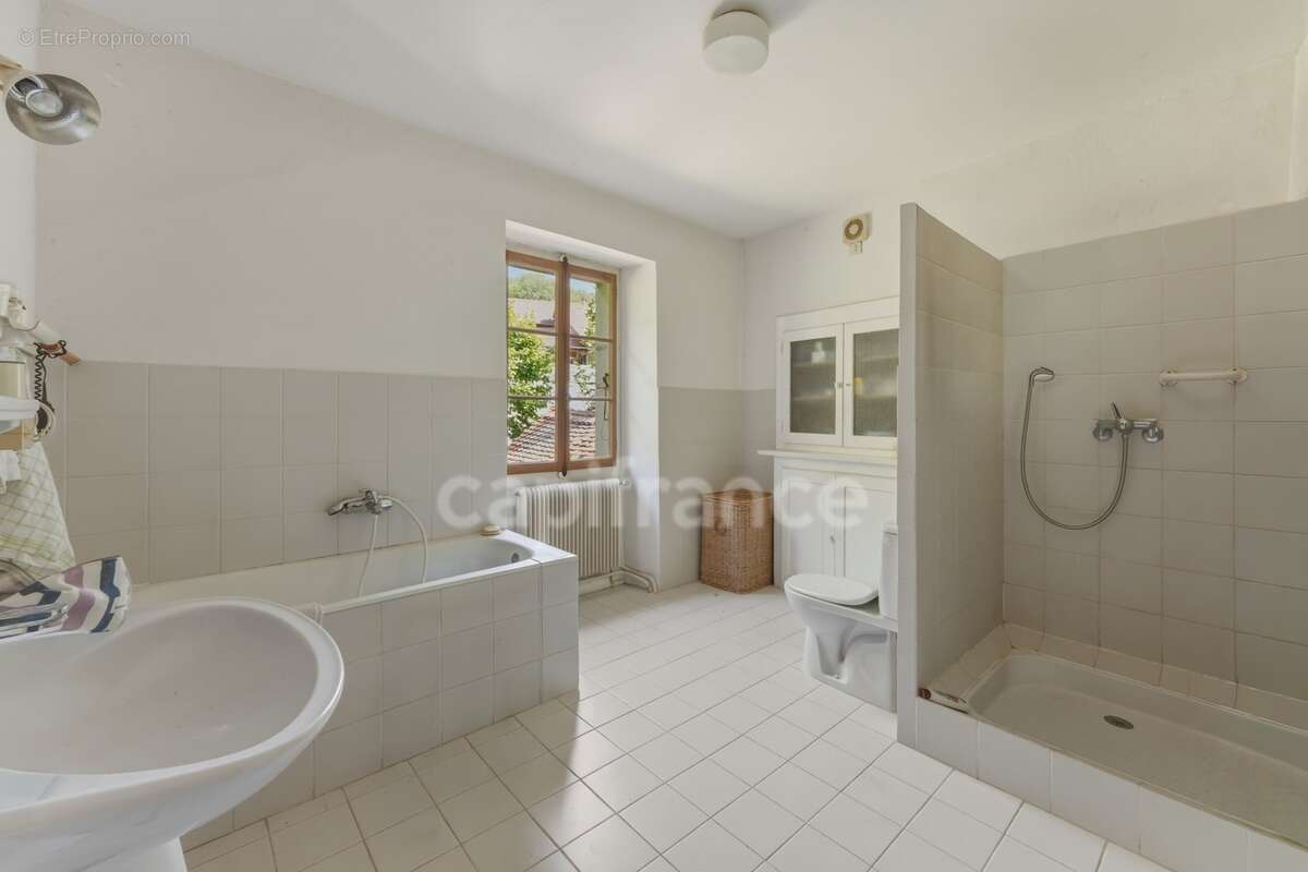 Maison à vendre 5 pièces PERON (01) - photo 24
