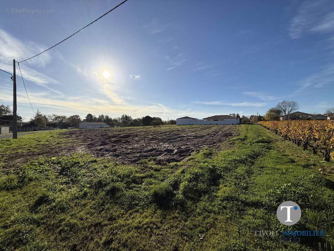 Terrain à CUSSAC-FORT-MEDOC