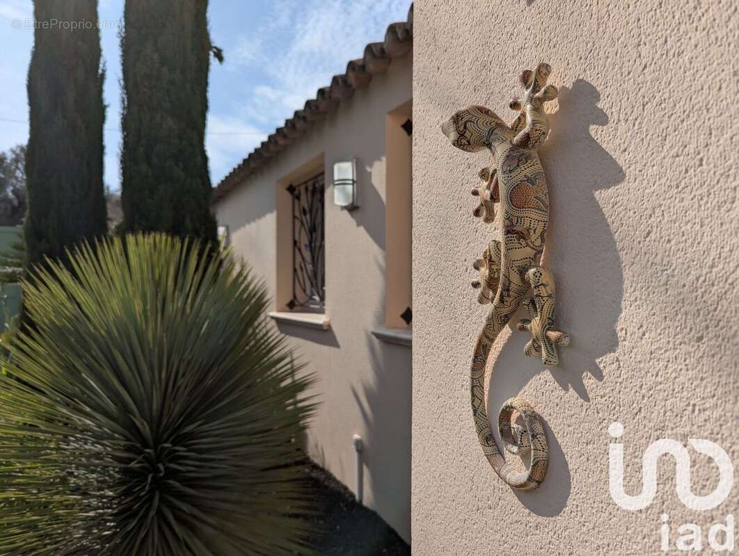 Photo 4 - Maison à ANTIBES
