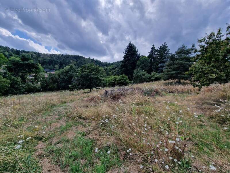 Terrain à vendre de 1271 m² orienté SUD sur la commune de MARCOUX, 2 minutes de BOEN et 15 minutes de MONTBRISON - photo 3