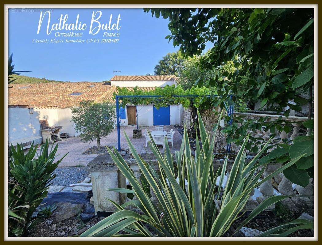 À 10 minutes de saint-chinian – maison de caractère de 200 m² avec terrain de 2 400 m², terrasse et fort potentiel - photo 3