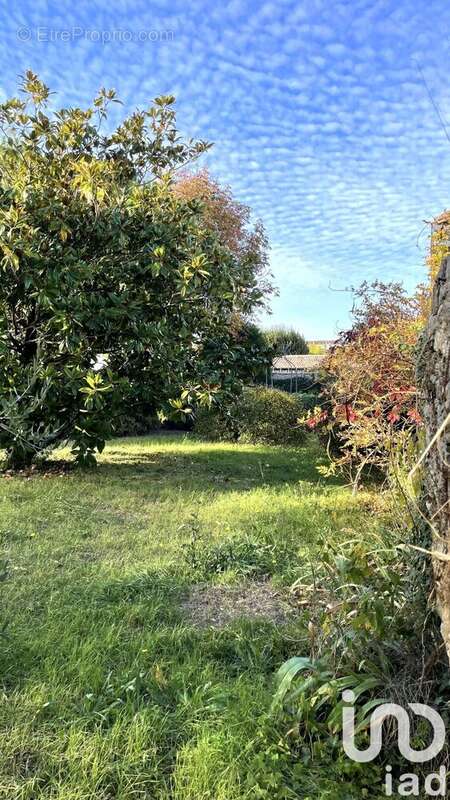 Photo 9 - Maison à LE BOIS-PLAGE-EN-RE