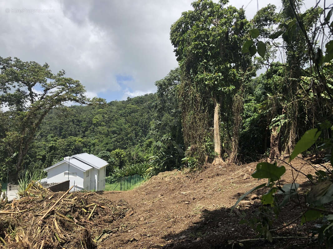 Terrain à SAINT-CLAUDE