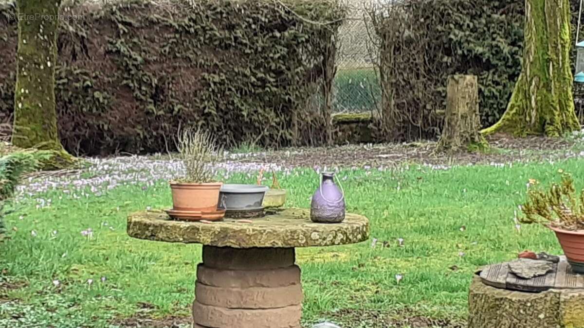 Demeure  à réinventer au cœur d’un parc de 3 700 m² - photo 10