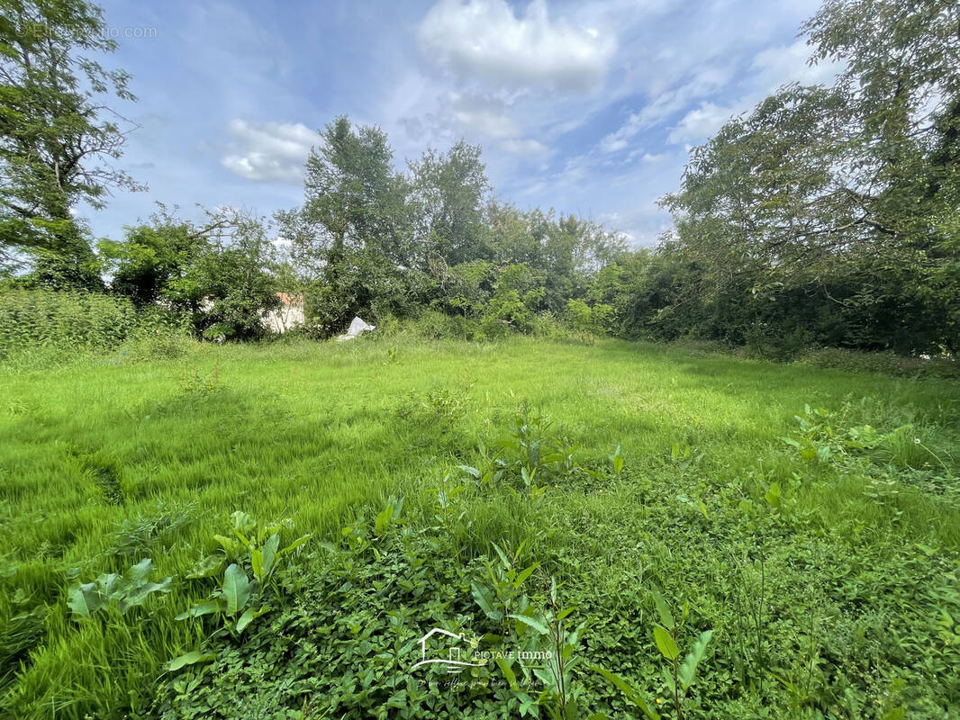 Terrain à LUSIGNAN