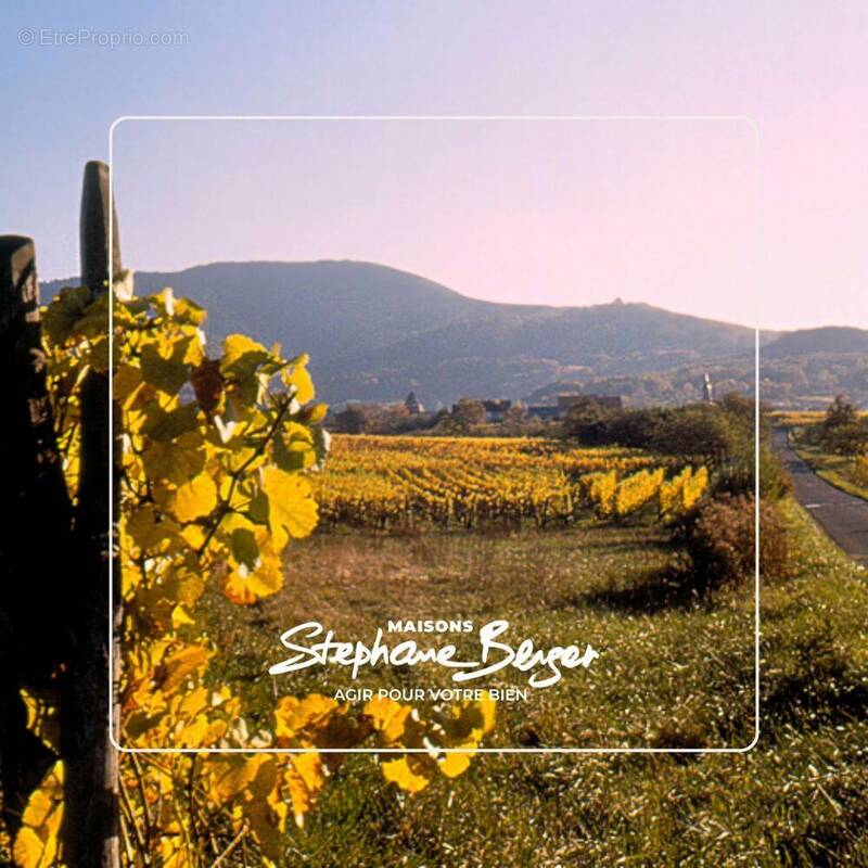 Terrain à MUNTZENHEIM