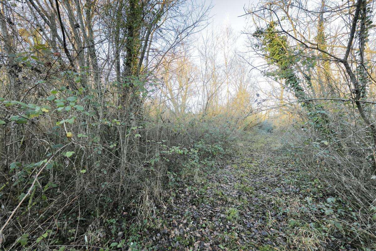 Terrain à PRESLES-EN-BRIE