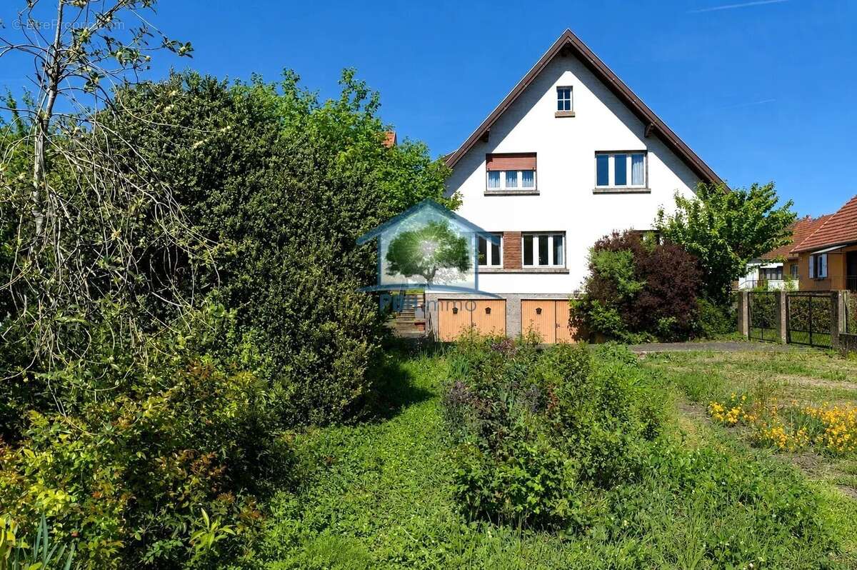 Maison à NIEDERBRONN-LES-BAINS