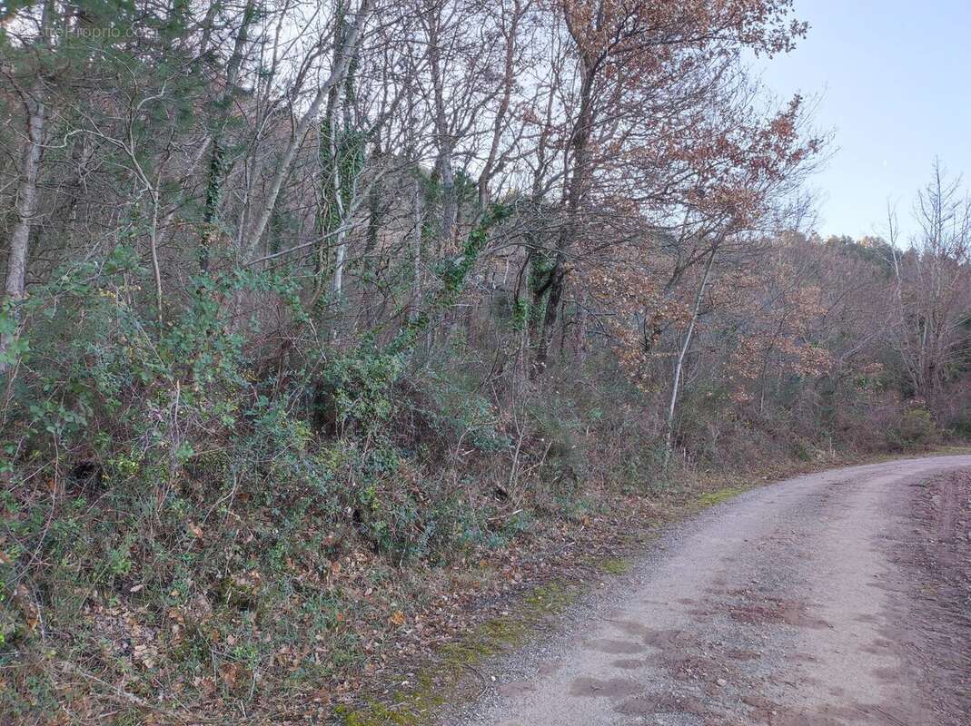 Terrain à SAINT-ETIENNE-DE-GOURGAS