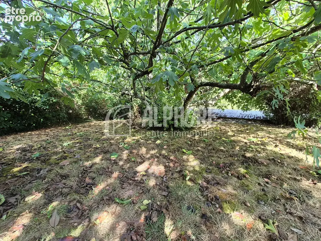 Maison 132 m², 3 chambres, piscine et jardin clos ? Mareuil-sur-Lay-Dissais - photo 12