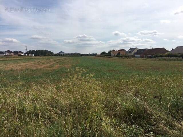 Terrain à HENIN-BEAUMONT