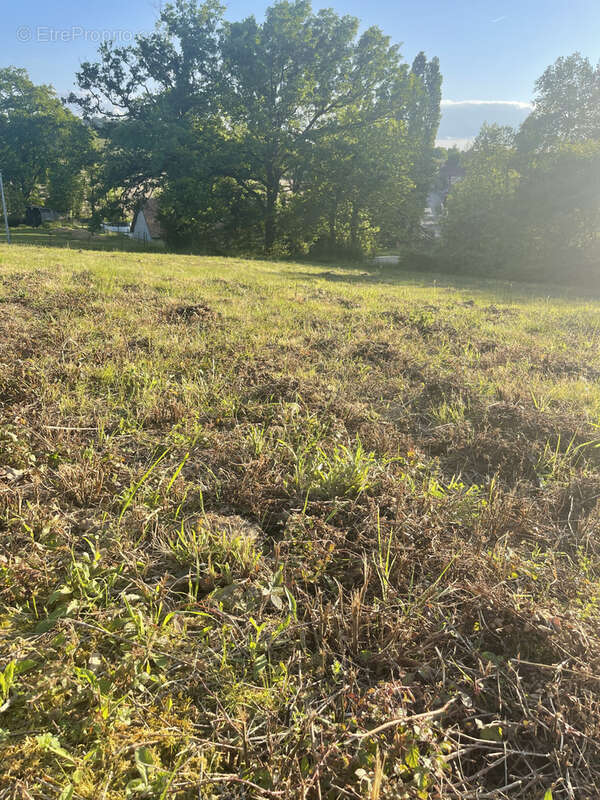 Terrain à ORTHEZ
