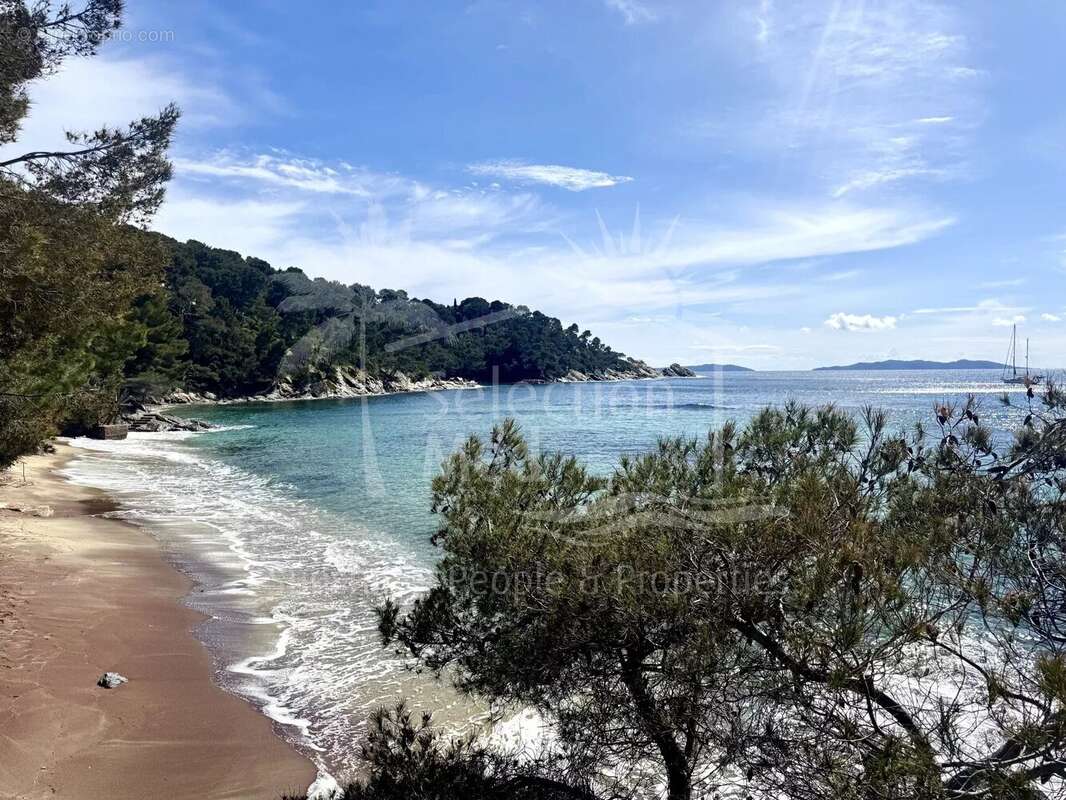 Maison à LE LAVANDOU