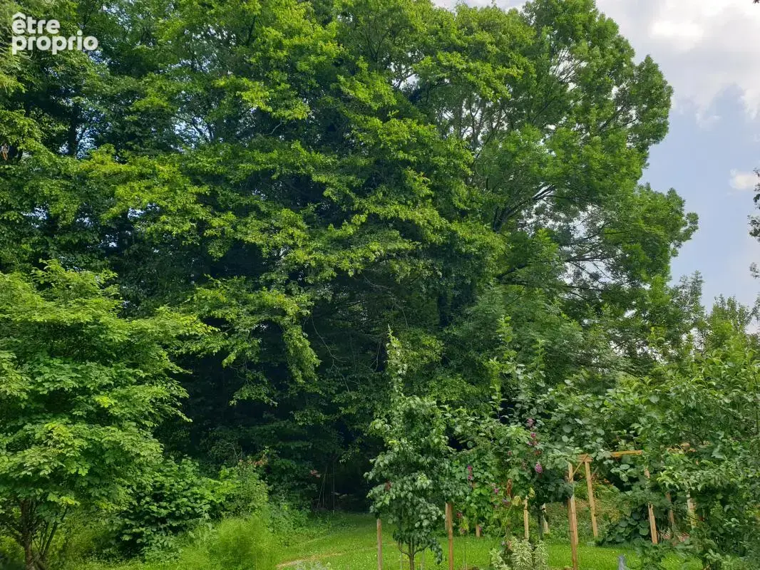 Maison normande de caractère à 10 min de Pont-Audemer - 8 pièces, 5 chambres, 3,5 ha de nature - photo 10