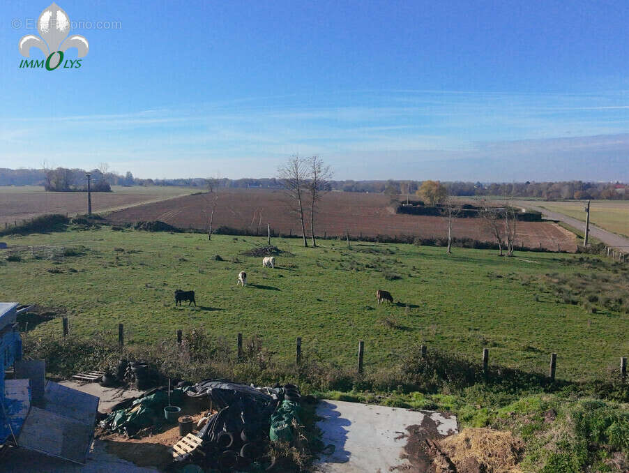 Autre à SAINT-JEAN-DE-LOSNE