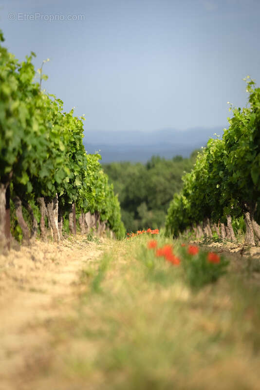 Maison à BELVEZE-DU-RAZES