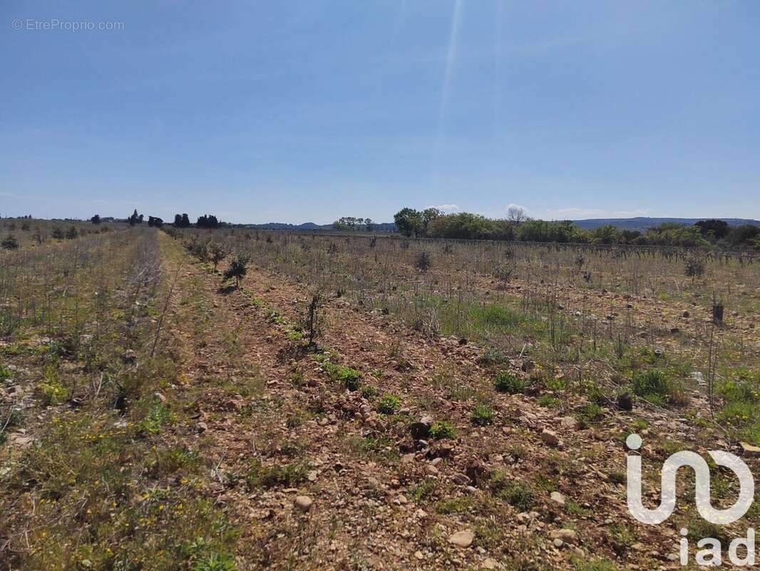 Photo 6 - Terrain à ROCHEGUDE
