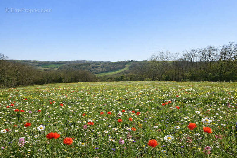Terrain  à vendre  pessan (32) - photo 3