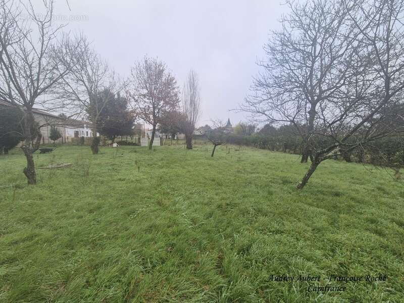 Maison à vendre 6 pièces LUSSANT (17) - photo 6